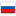 polierte Schungite Russland collection Januar 2024