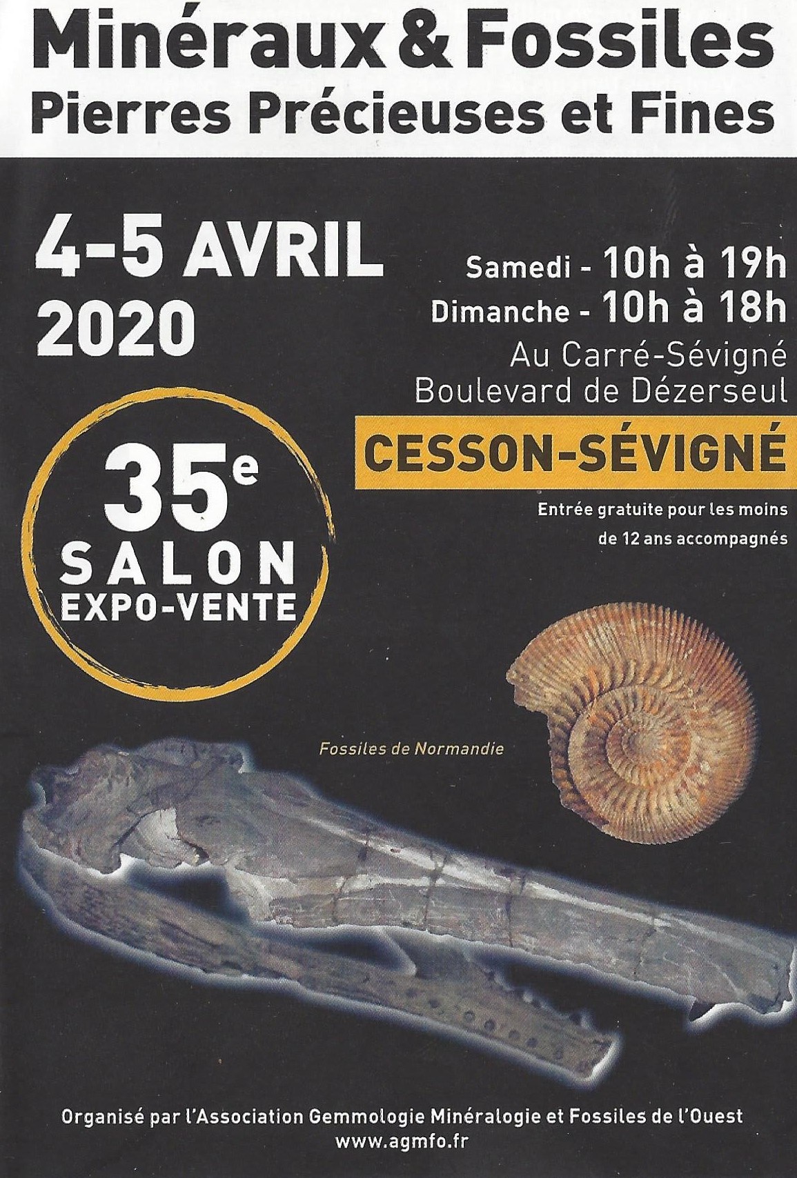 35ème salon Minéraux Fossiles