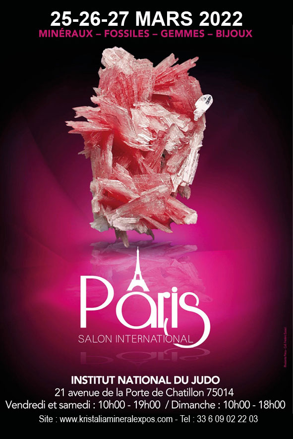 Salon international minéraux fossiles gemmes bijoux