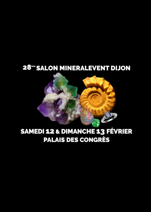 28ème bourse minéraux, fossiles, pierres gemmes et bijoux