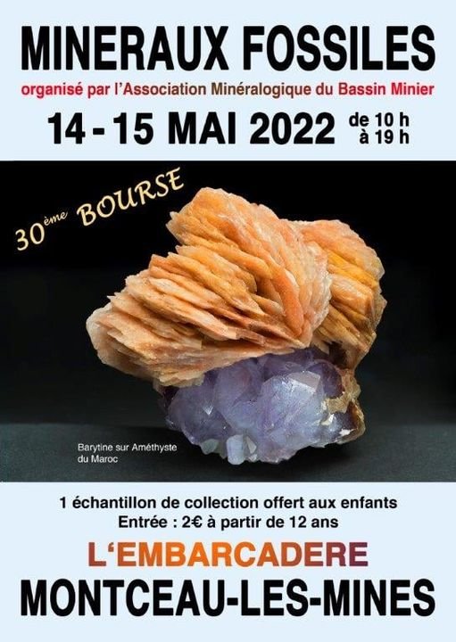 30ème bourse internationale aux minéraux et fossiles