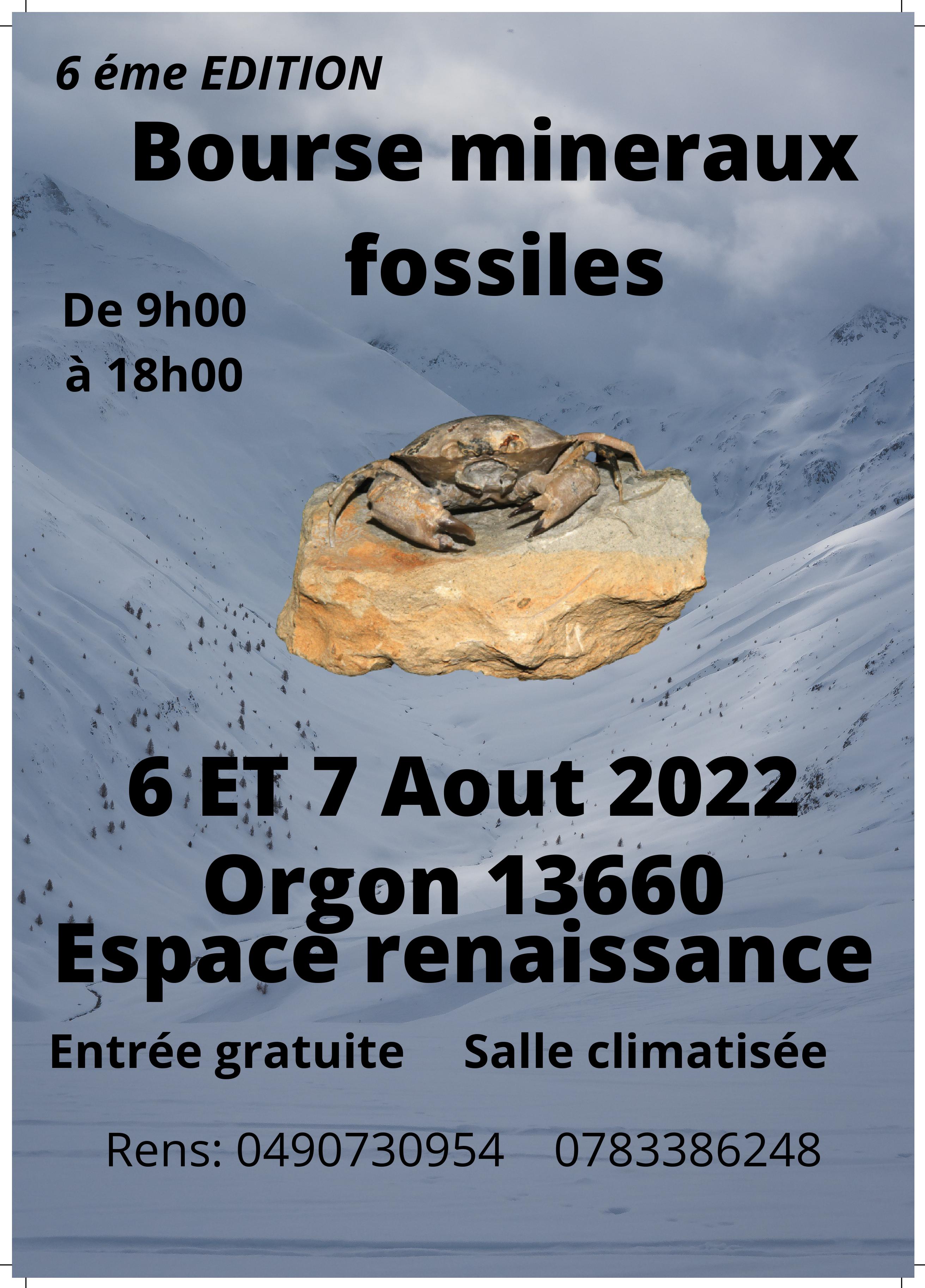 6éme bourse mineraux fossiles