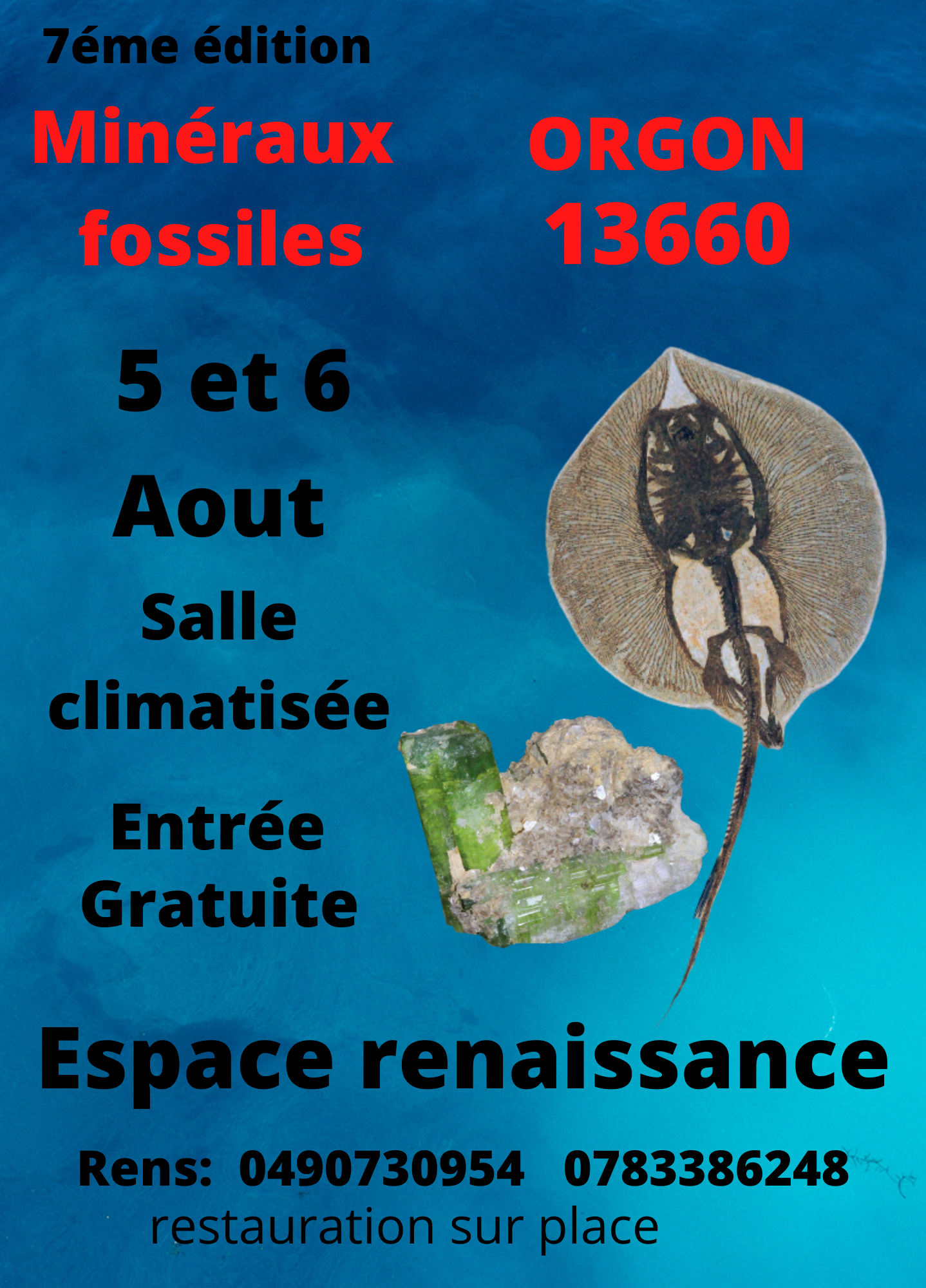 7éme bourse mineraux fossiles