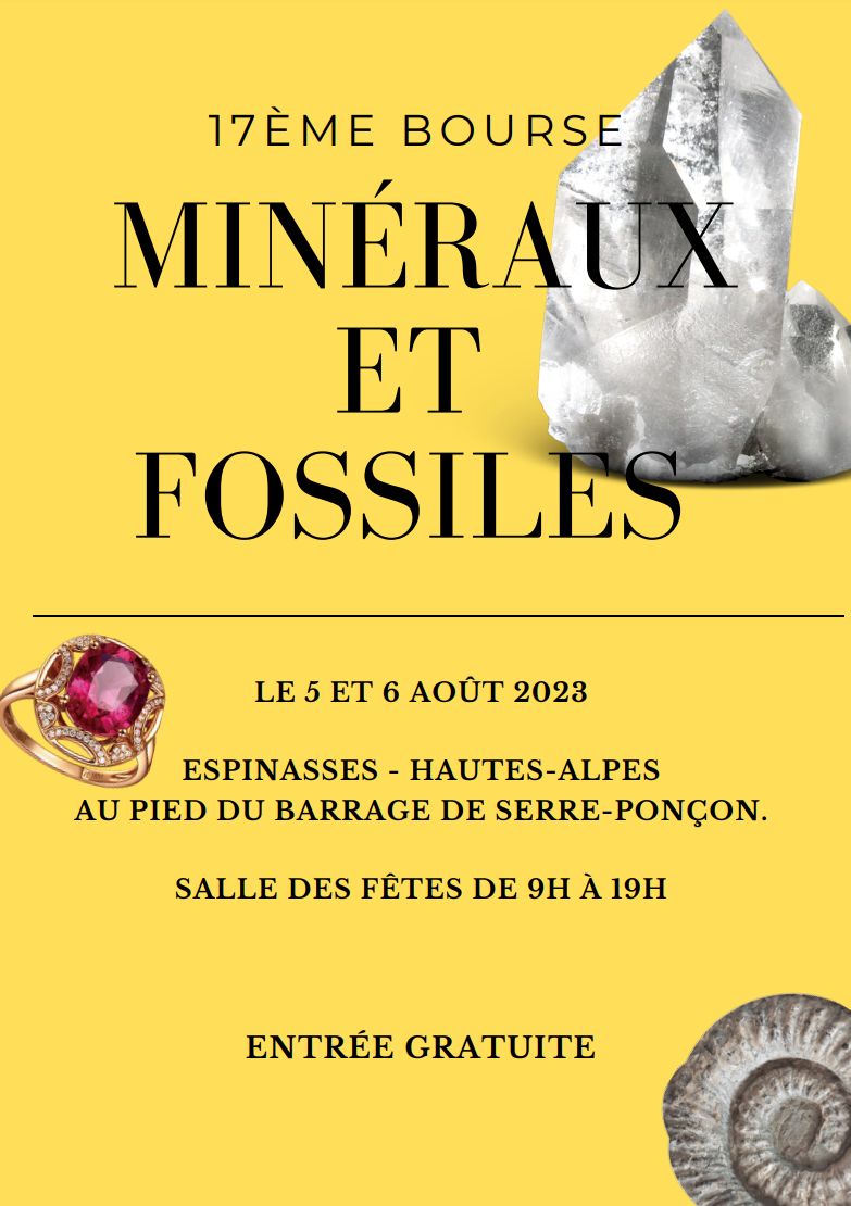 Salon des minéraux et fossiles
