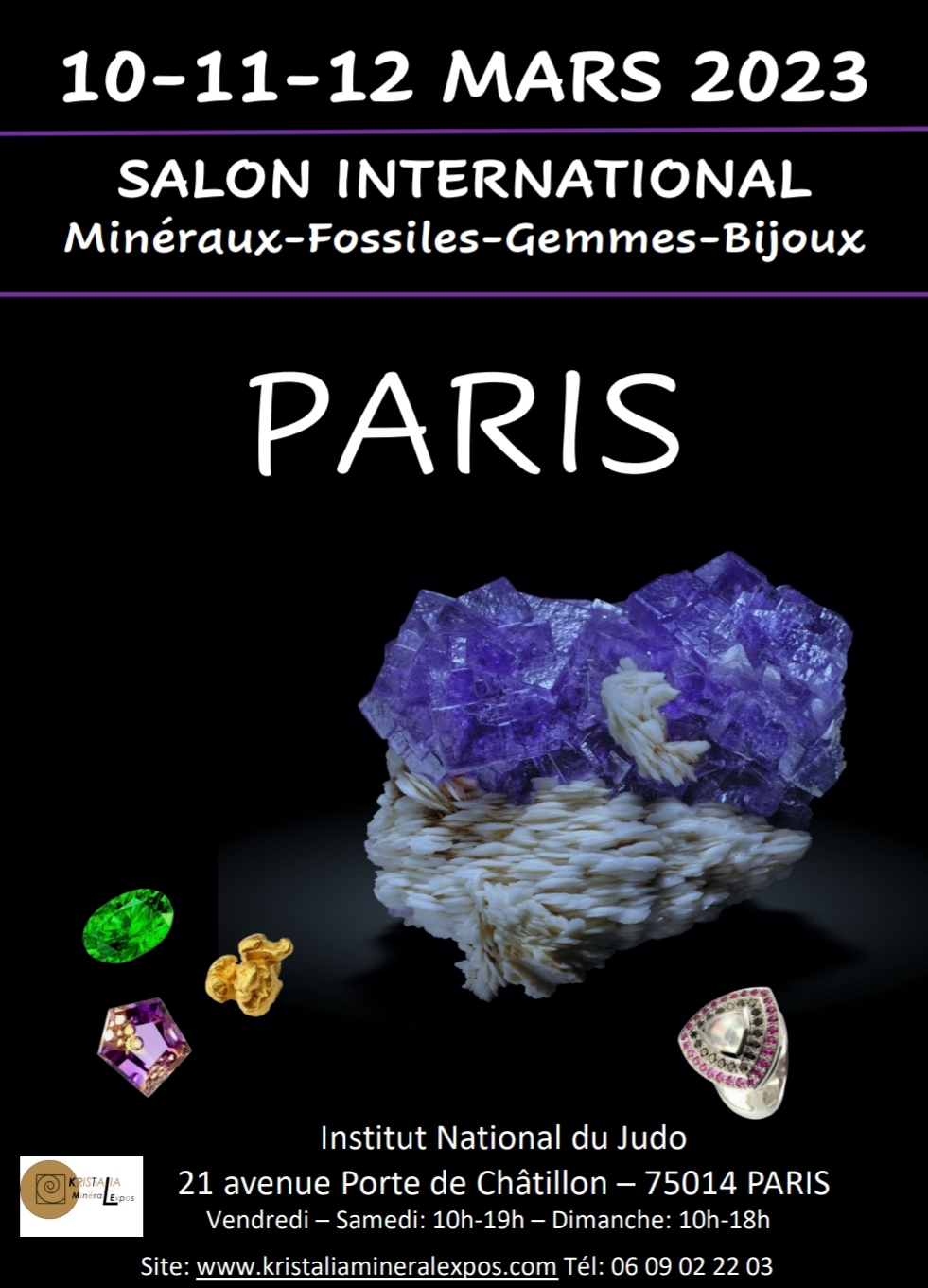 Salon minéraux, fossiles, pierres précieuses, Paris Institut du Judo