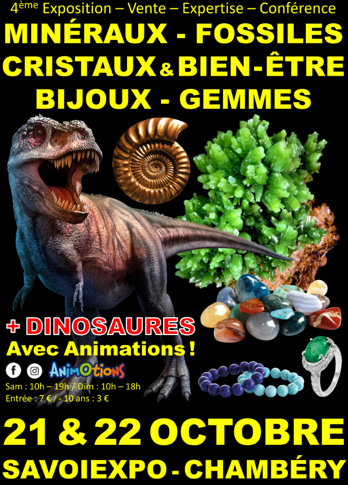 4ème Salon Minéraux Fossiles Cristaux & Bien-Être