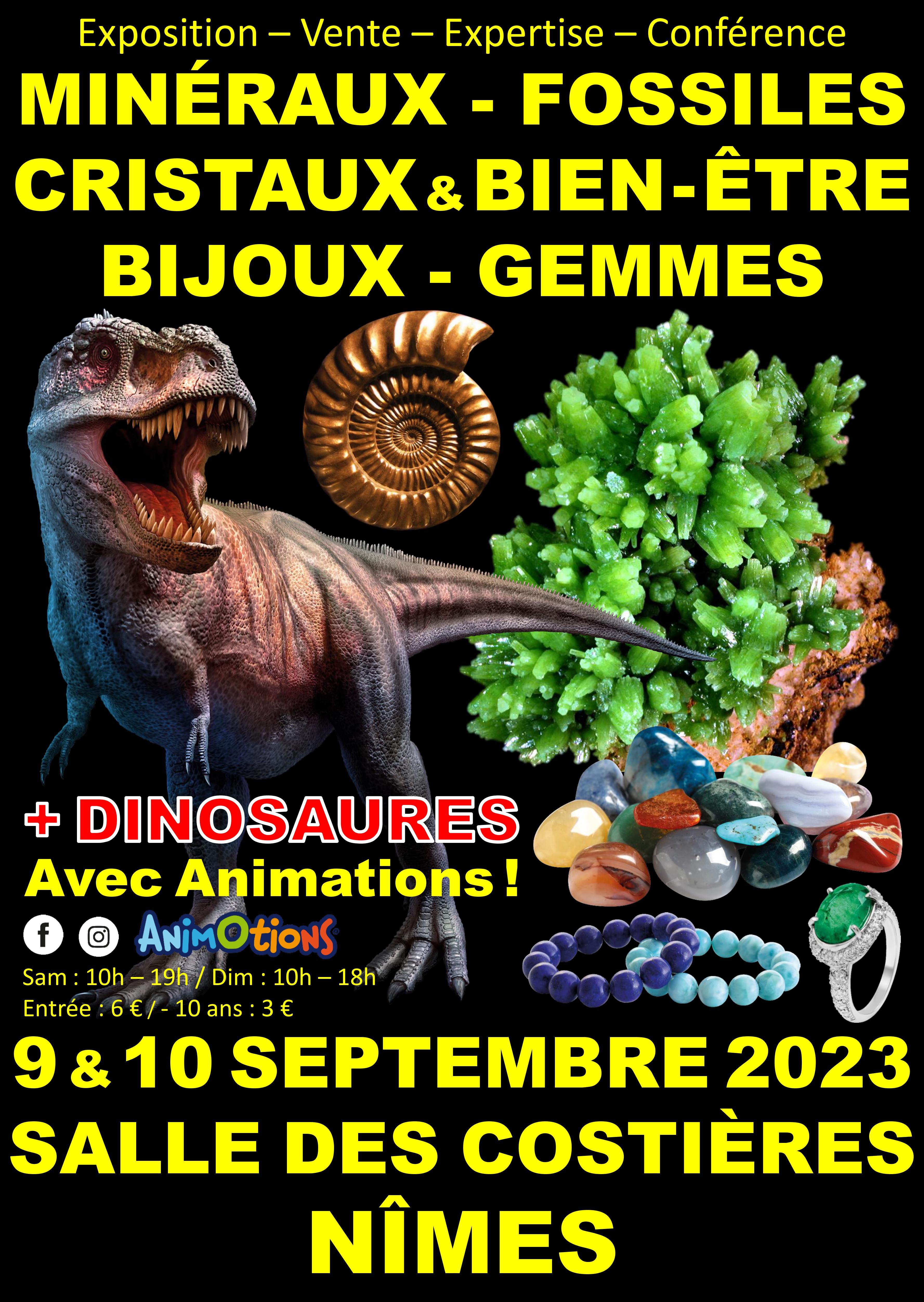 Salon Minéraux Fossiles Gemmes Cristaux