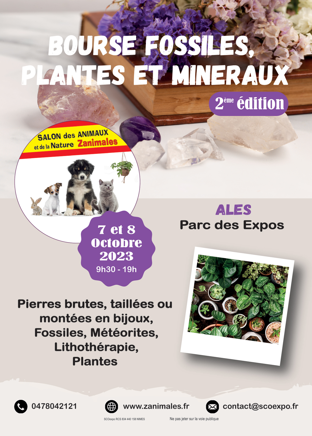 2ème bourse fossiles, plantes et minéraux