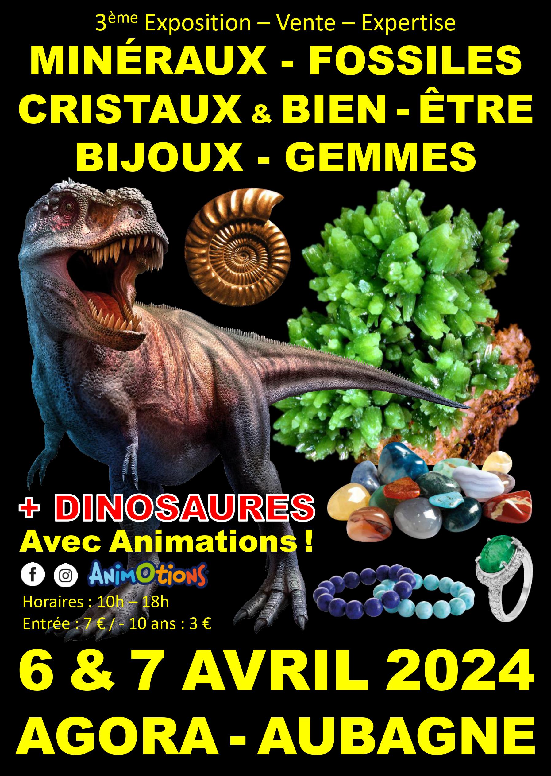 3ème Salon Minéraux Fossiles Cristaux