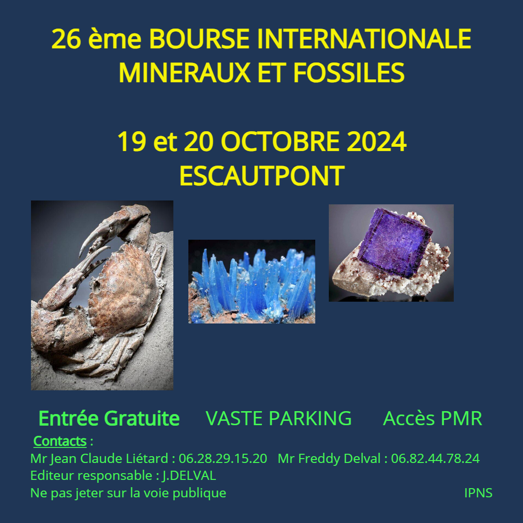 26ème salon International Minéraux et Fossiles