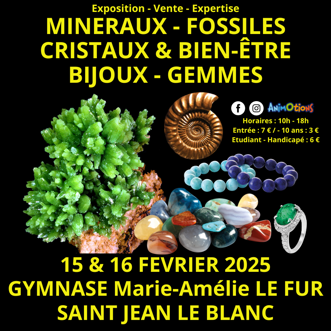45ème Salon Minéraux Fossiles Cristaux & Bien-Être Bijoux et Gemmes