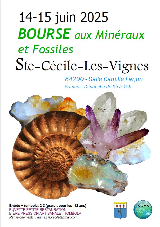 Bourse aux minéraux et fossiles