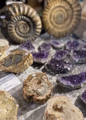 Schöne Steine und Mineralien 2026