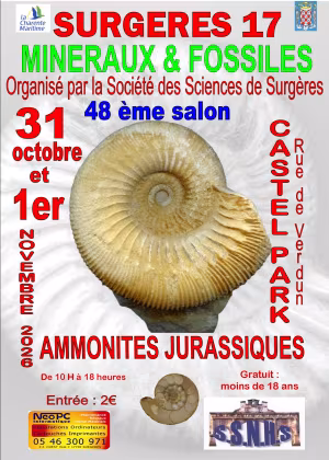 48. Internationale Mineralien- und Fossilienausstellung