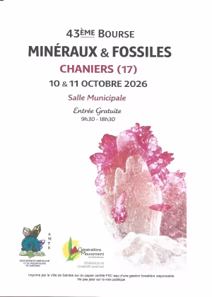 Mineralien und Fossilien zu verkaufen und auszustellen