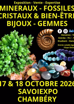 7. Mineralien-, Fossilien- und Kristallmesse
