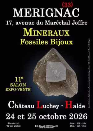 11. Mineralien-, Fossilien- und Schmuckmesse