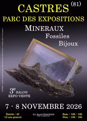 3. Mineralien-, Fossilien- und Schmuckmesse in Castres