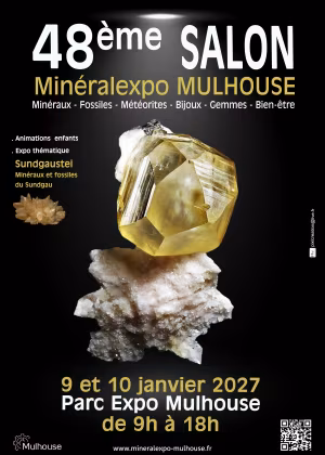 48. Mineralexpo-Mulhouse 2027 Fachmesse