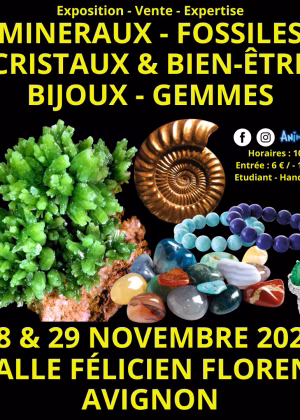 Mineralien-, Fossilien-, Kristall- und Wellness-Messe für Edelsteine und Schmuck