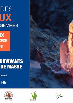 41. Mineralien-, Fossilien- und Edelsteinmesse