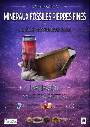 337. MINERALIEN-, FOSSILIEN- UND SCHMUCKSTEINMESSE