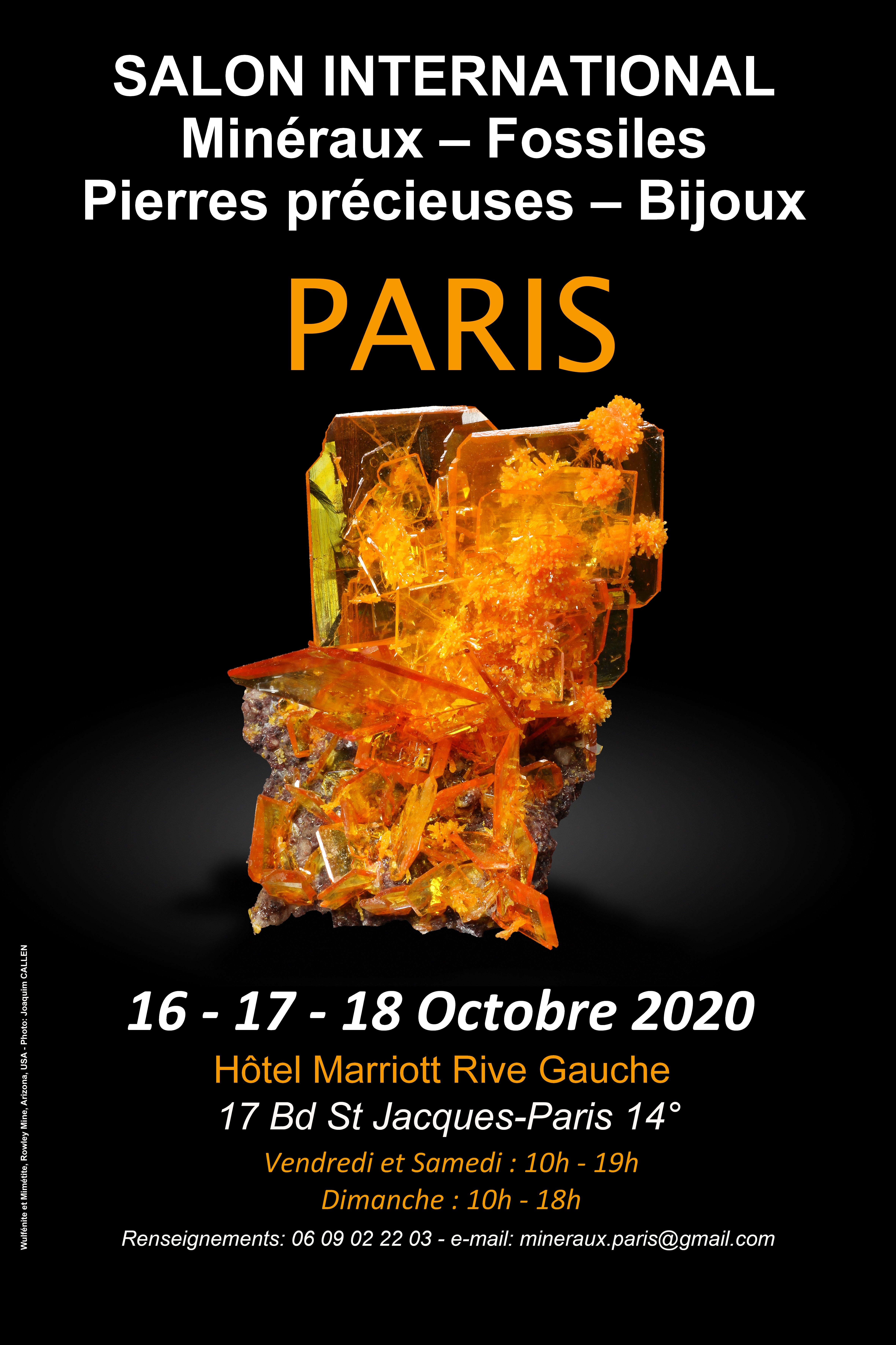 Salon International minéraux fossiles pierres précieuses bijoux Paris
