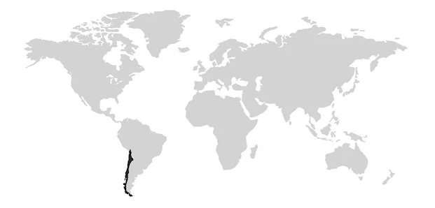 Herkunftsland Chile