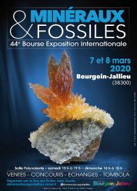 44. Mineral- und Fossilienaustausch und Austauschaustausch