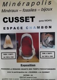 MINERAPOLIS Ausstellung von Fossilien, Mineralien und Schmuck