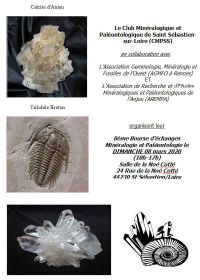 8. Austausch von Mineralien und Fossilien