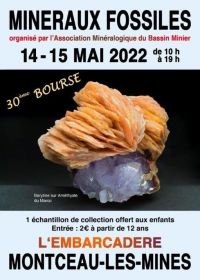 30. Internationales Stipendium für Mineralien und Fossilien
