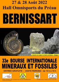 33. Internationales Stipendium für Mineralien und Fossilien
