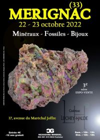 3. Schmuckmesse für fossile Mineralien