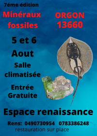 7. Börse für fossile Mineralien