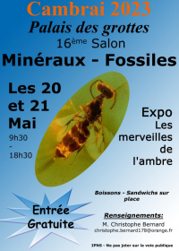 17. AGC Mineralien- und Fossilienmesse. Freier Eintritt von 9:30 bis 18:30 Uhr