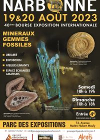 40 gleichmäßiges Stipendium für Mineralien und Fossilien von NARBONNE