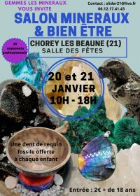 Mineralien, Fossilien, Meteoriten und Wellness-Show