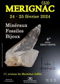6. Salon Mineralien Fossilien Schmuck