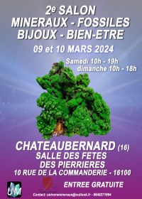 Mineralien, Fossilien, Designerschmuck und Wellnessmesse.