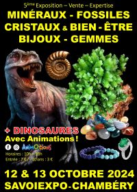 5. Ausstellung Mineralien Fossilien Kristalle Chambery