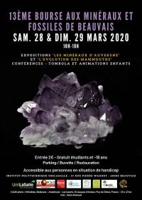 13. Mineral- und Fossilienaustausch