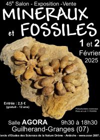 45. Guilherand-Granges Mineralien- und Fossilienbörse