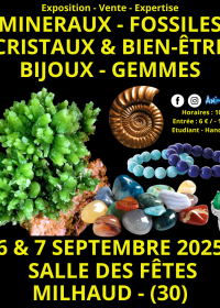 Mineralien, Fossilien, Kristalle & Wohlbefinden Schmuck- und Edelsteinmesse in Nîmes