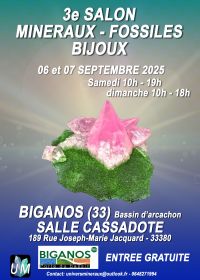 Ausstellung von Mineralien, Fossilien und Designerschmuck.