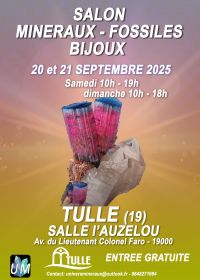 Ausstellung von Mineralien, Fossilien und Designerschmuck.