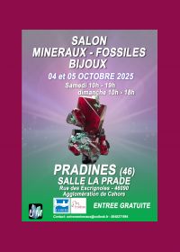 Ausstellung von Mineralien, Fossilien und Designerschmuck.