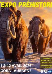 Die prähistorische Ausstellung