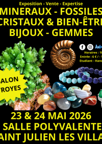 2. Troyes Mineralien- und Fossilienmesse
