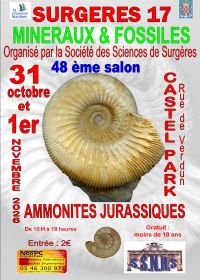 48. Internationale Mineralien- und Fossilienausstellung